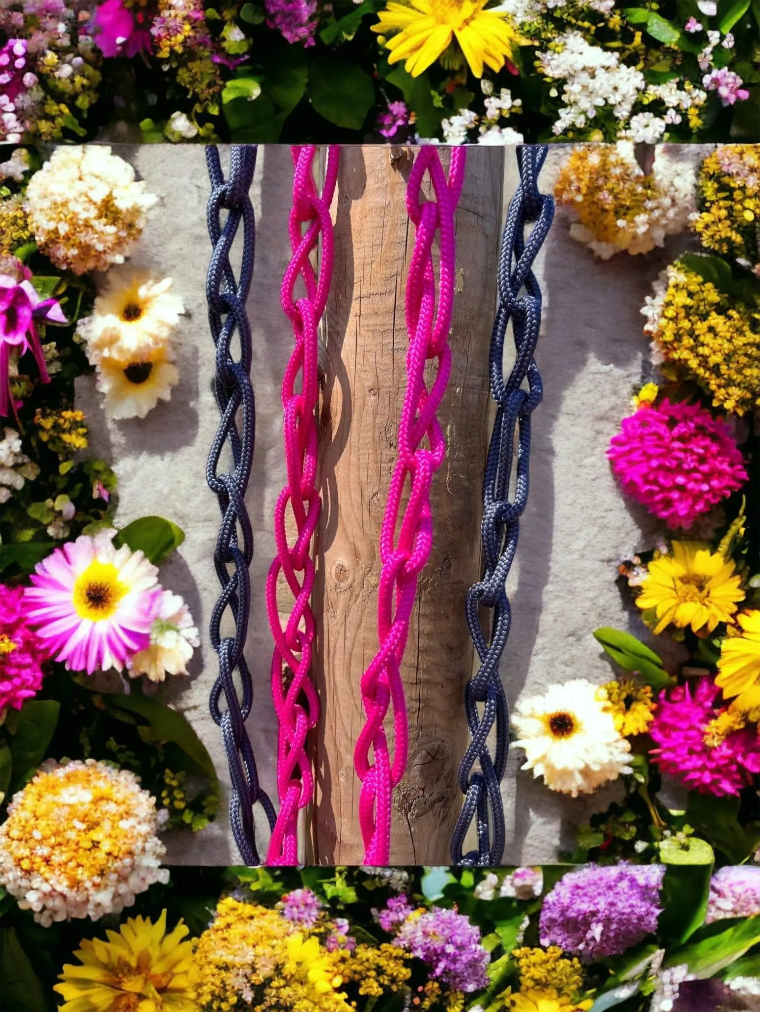 Balancezügel CR - Balancezügel