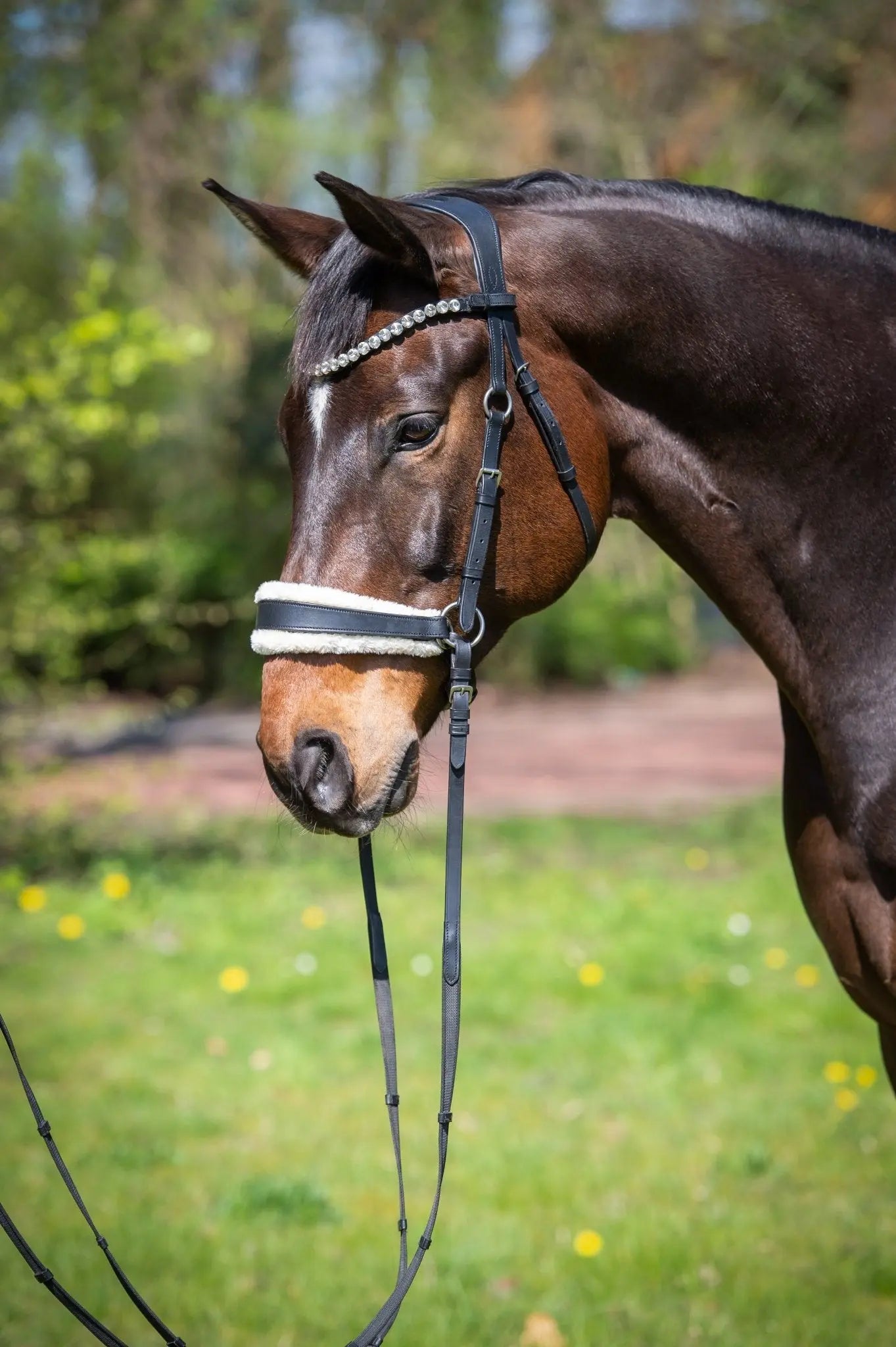 Geschenkgutschein Shop - Gutschein