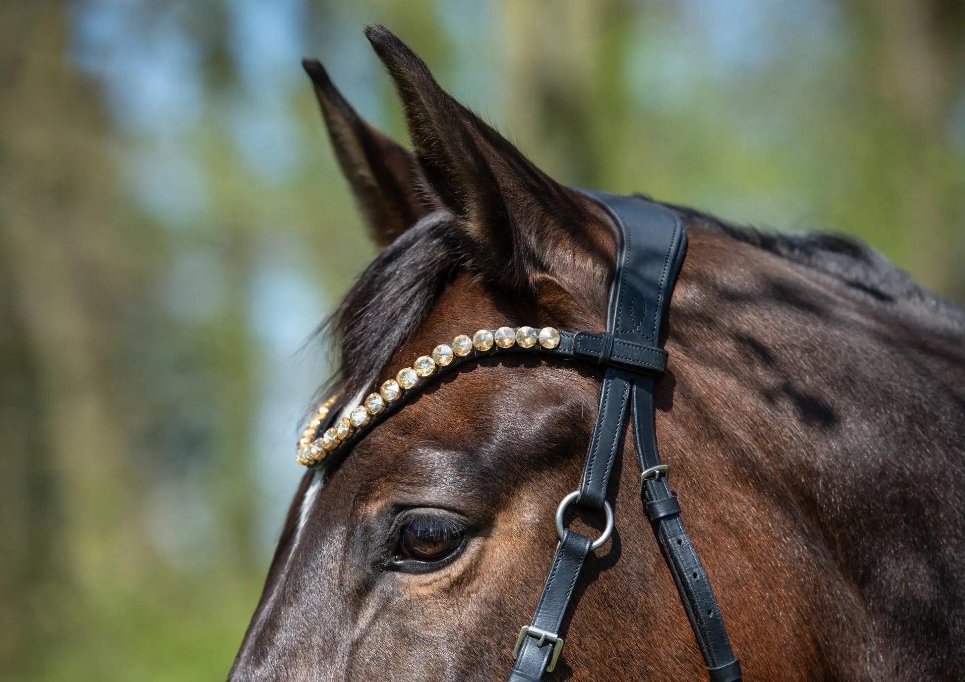 Geschenkgutschein Shop - Gutschein