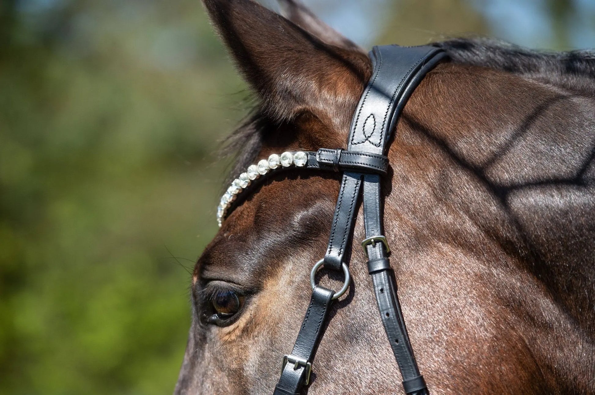 Harmony Bridle - anatomische gebisslose Trense mit Crystal Stirnband ( gebisslose Zäumung Sidepull oder Crossbridle - CR-Harmonyequestrian