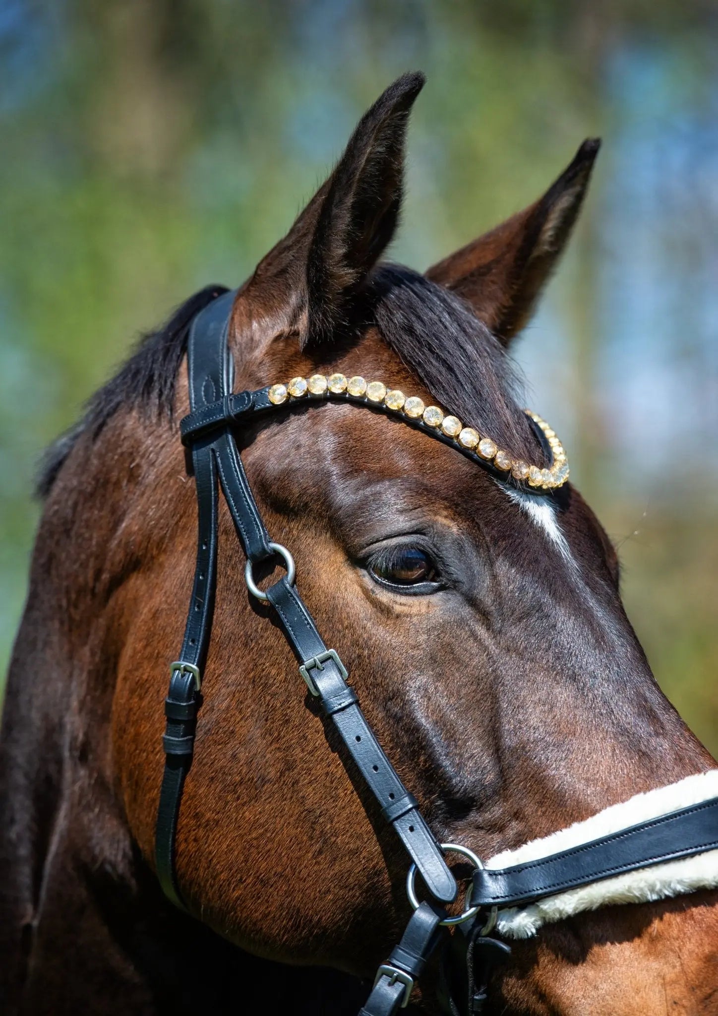 Harmony Bridle - anatomische gebisslose Trense mit Crystal Stirnband ( gebisslose Zäumung Sidepull oder Crossbridle - CR-Harmonyequestrian