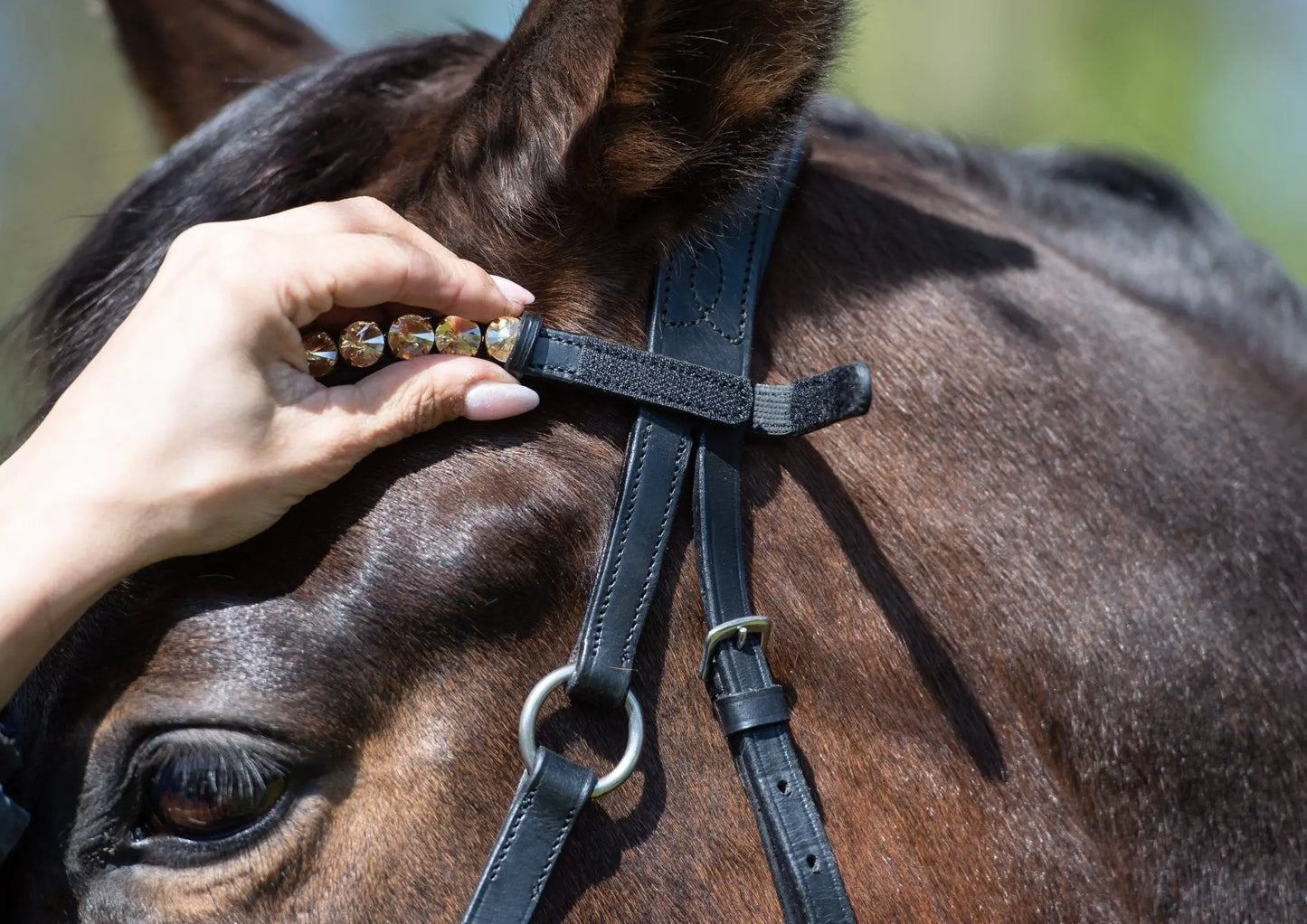 Harmony Bridle - anatomische gebisslose Trense mit Crystal Stirnband ( gebisslose Zäumung Sidepull oder Crossbridle - CR-Harmonyequestrian