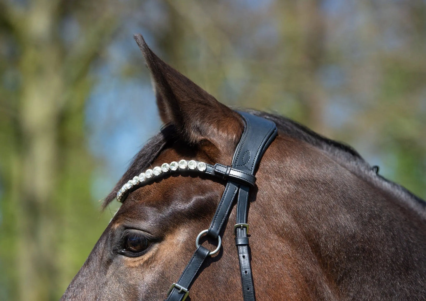 Harmony Bridle - anatomische gebisslose Trense mit Crystal Stirnband ( gebisslose Zäumung Sidepull oder Crossbridle - CR-Harmonyequestrian Schwarz-VB-WB