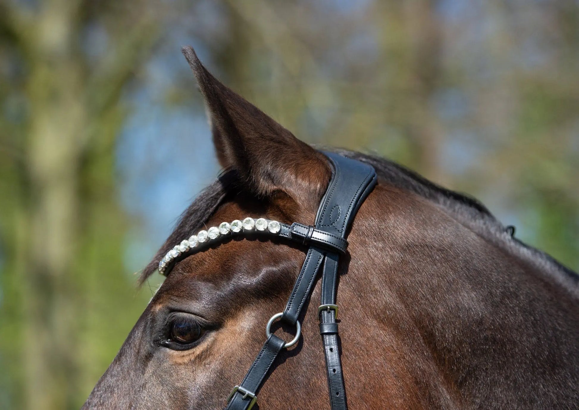 Harmony Bridle - anatomische gebisslose Trense mit Crystal Stirnband ( gebisslose Zäumung Sidepull oder Crossbridle - CR-Harmonyequestrian Schwarz-VB-WB