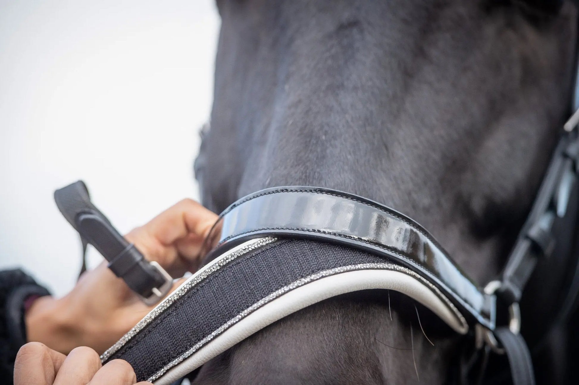 ✨Limited Edition✨ gebisslose Trense in Lack - Glossy Luxury HB Bridle- das gab es so noch nie ! - Gebisslose Trense