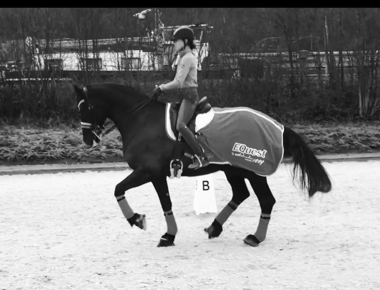 Onlineunterricht/Videoanalyse Gutschein - Gutschein