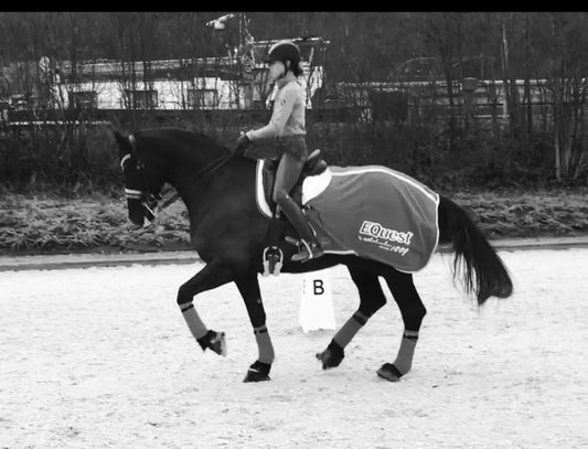 Onlineunterricht/Videoanalyse Gutschein - Gutschein