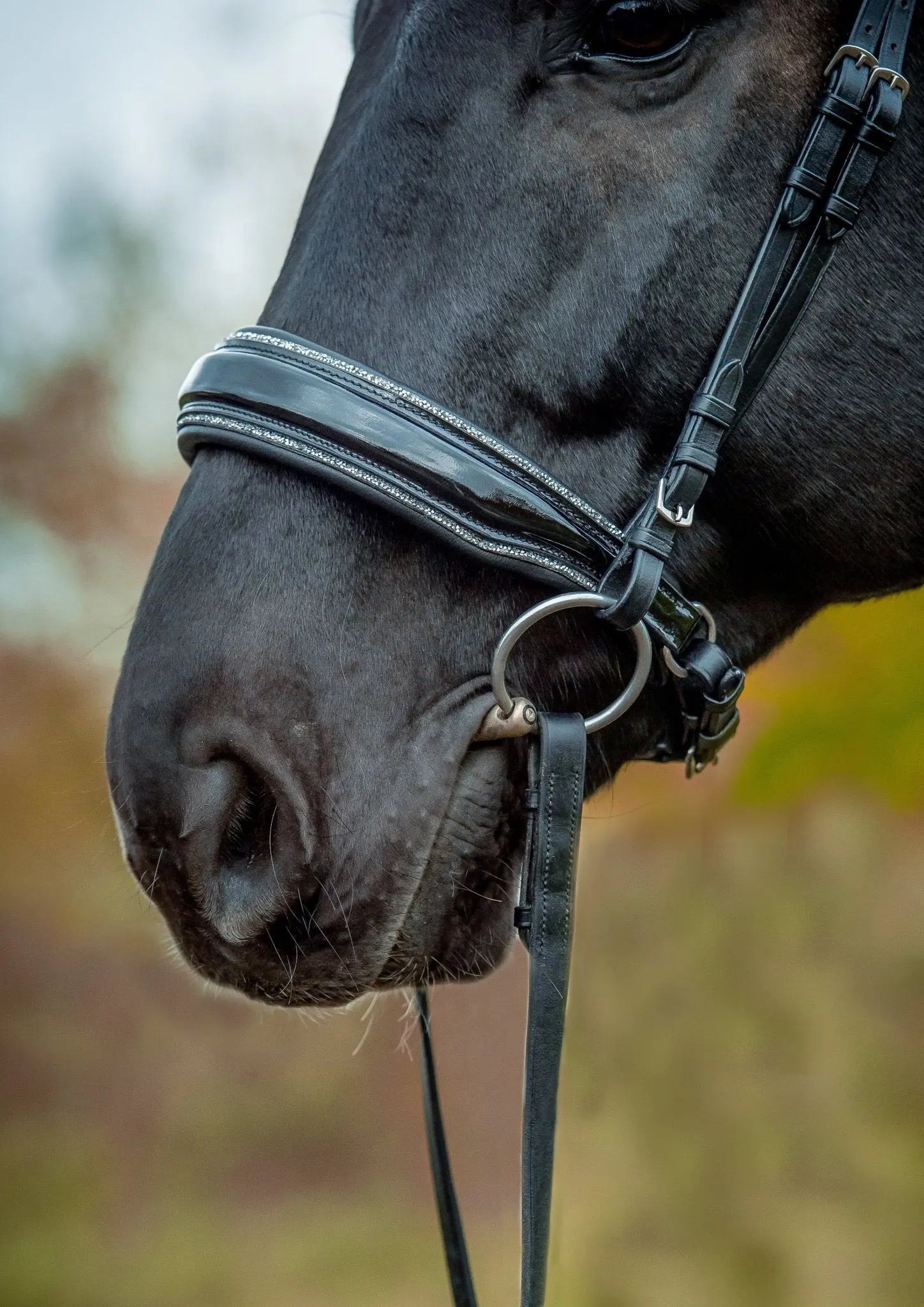 Trense Glamourös mit Lack und Crystal Dust, anatomisch mit oder ohne Sperrriemen - Trense
