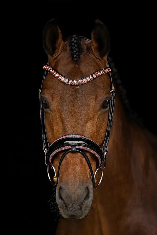 Wenn-das-Equipment-den-Unterschied-macht-warum-das-richtige-Genickstück-dein-Pferd-verändert CR-Harmonyequestrian