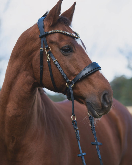 Vertrauen-durch-sanfte-Kommunikation gebisslos reiten CR-Harmonyequestrian