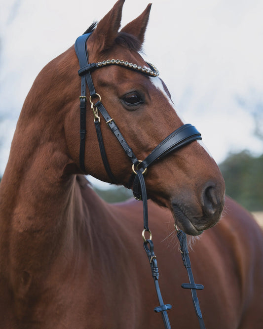 Warum-gebisslos-reiten-mehr-als-ein-Trend-ist CR-Harmonyequestrian