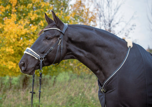 Die-Evolution-meiner-gebisslosen-Trense-Vom-Prototyp-zum-Bestseller , gebisslose trense CR-Harmonyequestrian