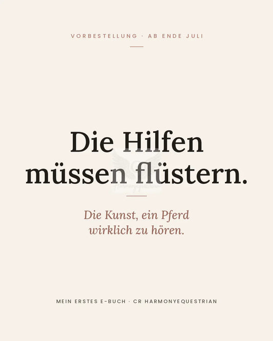 Die Hilfen müssen flüstern: Wie feines Reiten wirklich entsteht