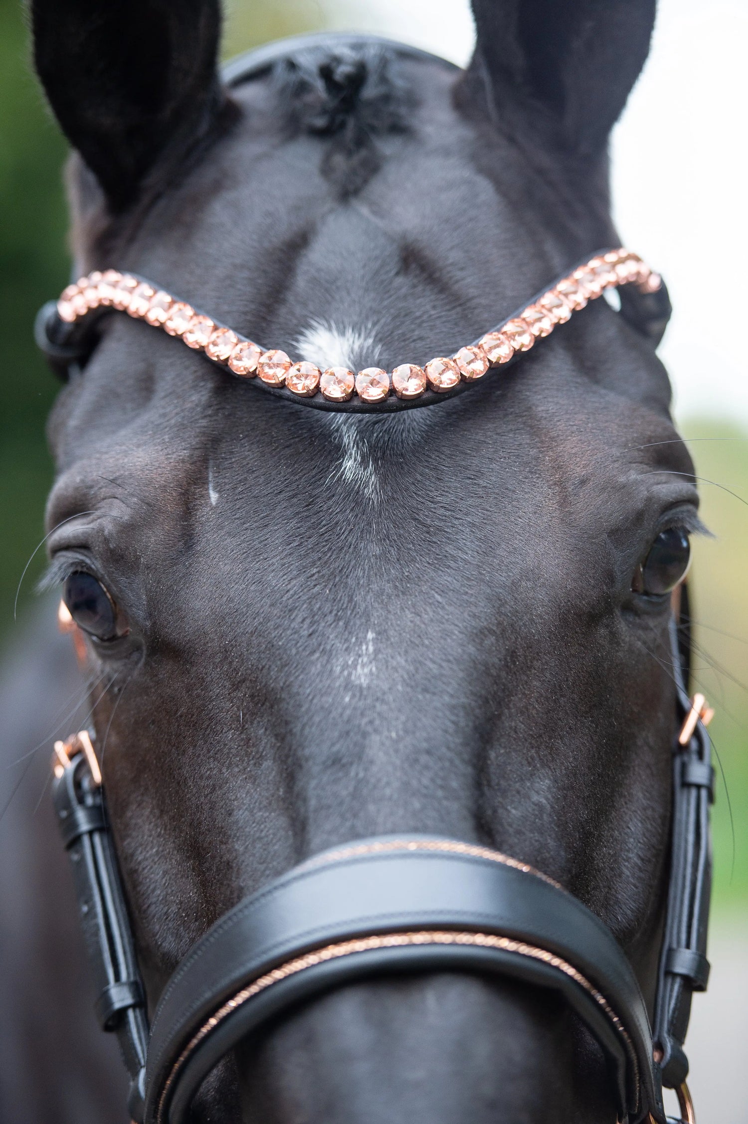 Stirnriemen-Big-Crystal CR-Harmonyequestrian 