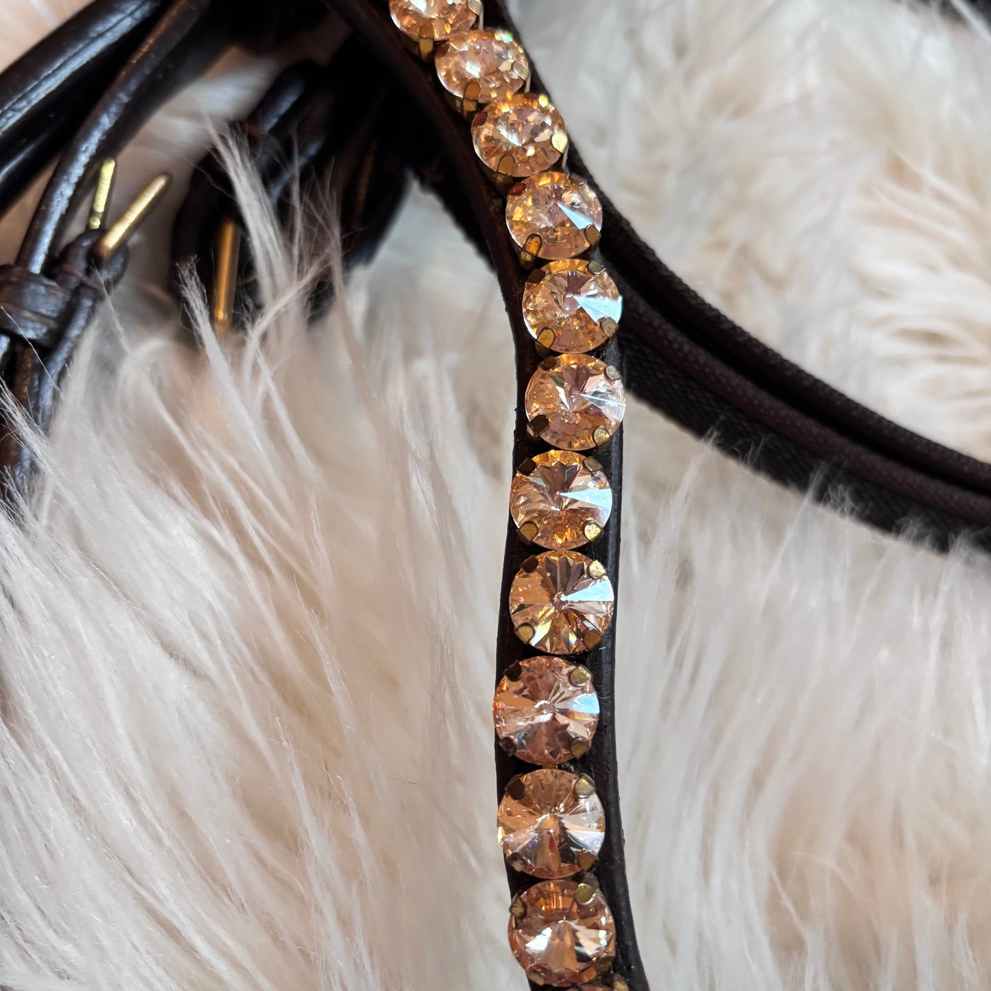 Brown Lacquer Champagne – Rundgenäht, Soft-Genick, Einzelstück (vergünstigt) CR-Harmonyequestrian