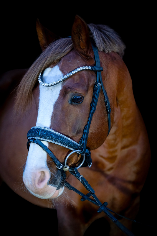 Reithalfter Blu Fiore CR-Harmonyequestrian
