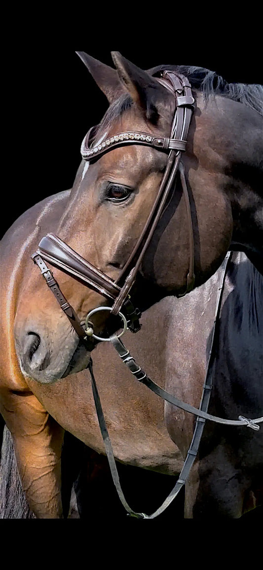 Gold bridle - braune rundgenähte Trense glitzer - CR-Harmonyequestrian Braune Trense Gold 175.00 