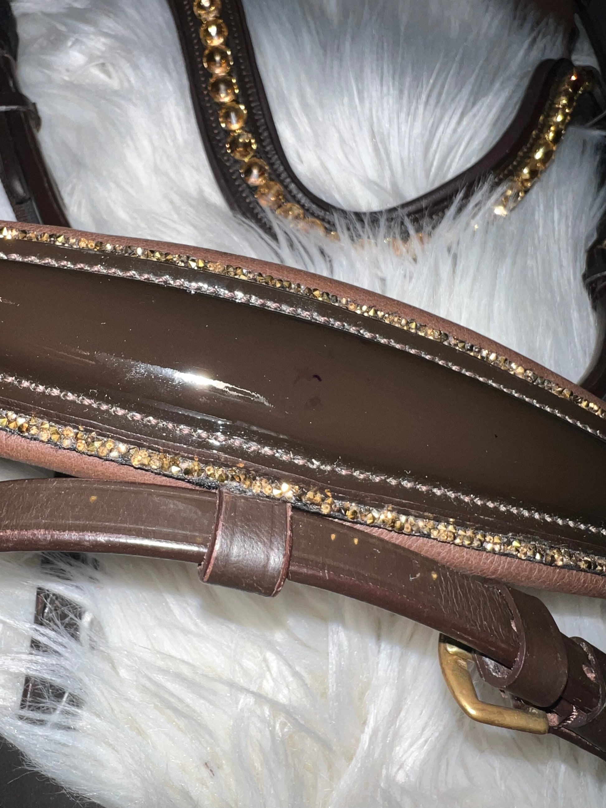 Braune Lack-Trense Full – reduziert CR-Harmonyequestrian