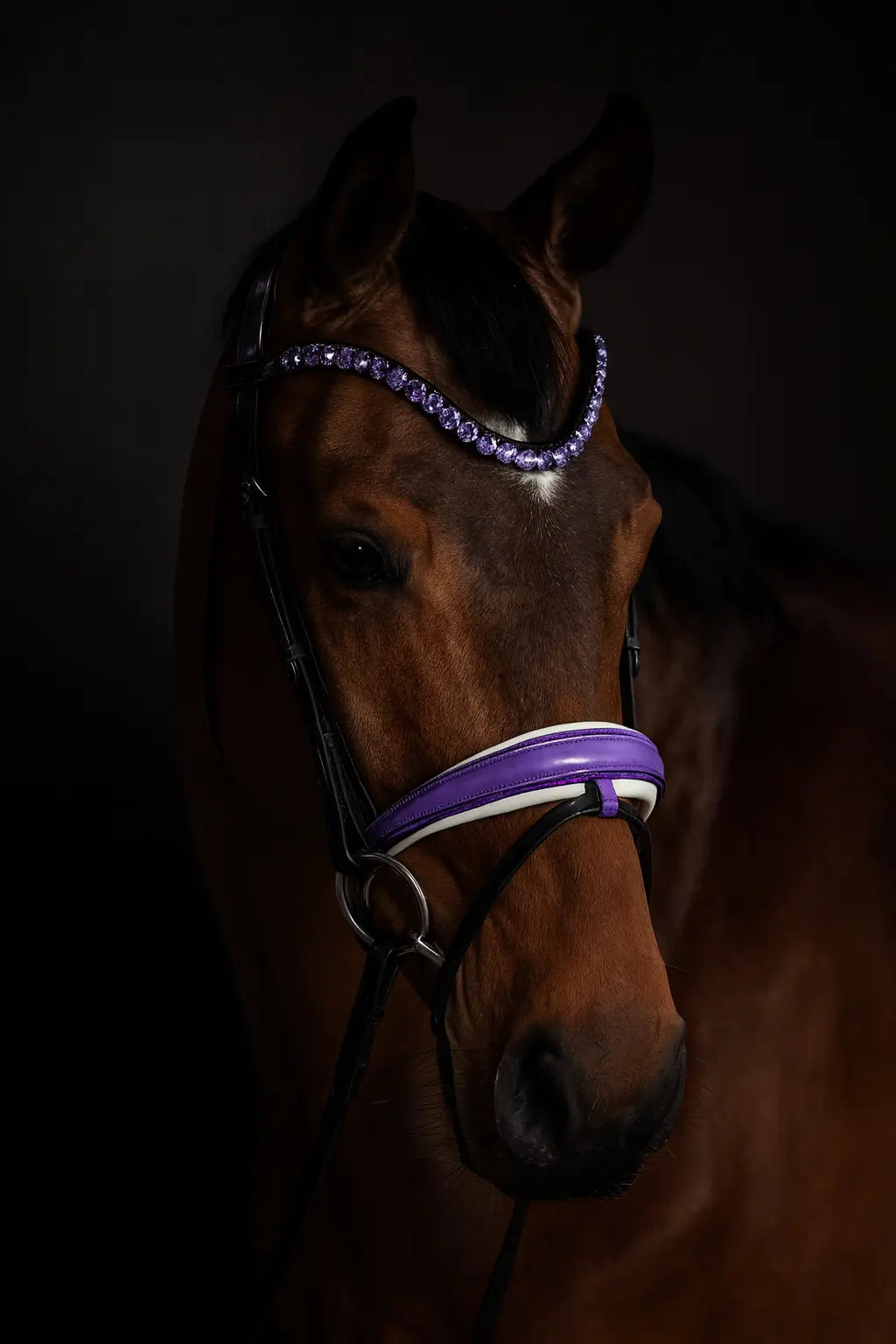 Trense Violet Grace CR-Harmonyequestrian