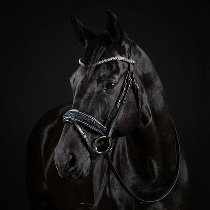 Reithalfter Blu Fiore CR-Harmonyequestrian