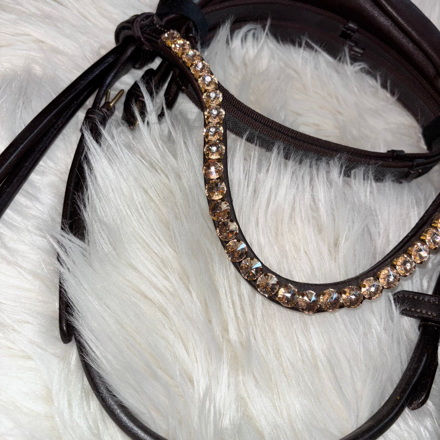 Brown Lacquer Champagne – Rundgenäht, Soft-Genick, Einzelstück (vergünstigt) CR-Harmonyequestrian