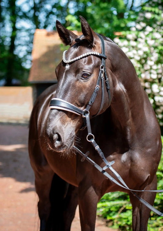 Harmony Bridle - anatomische gebisslose Trense mit Crystal Stirnband ( gebisslose Zäumung Sidepull oder Crossbridle - CR-Harmonyequestrian 