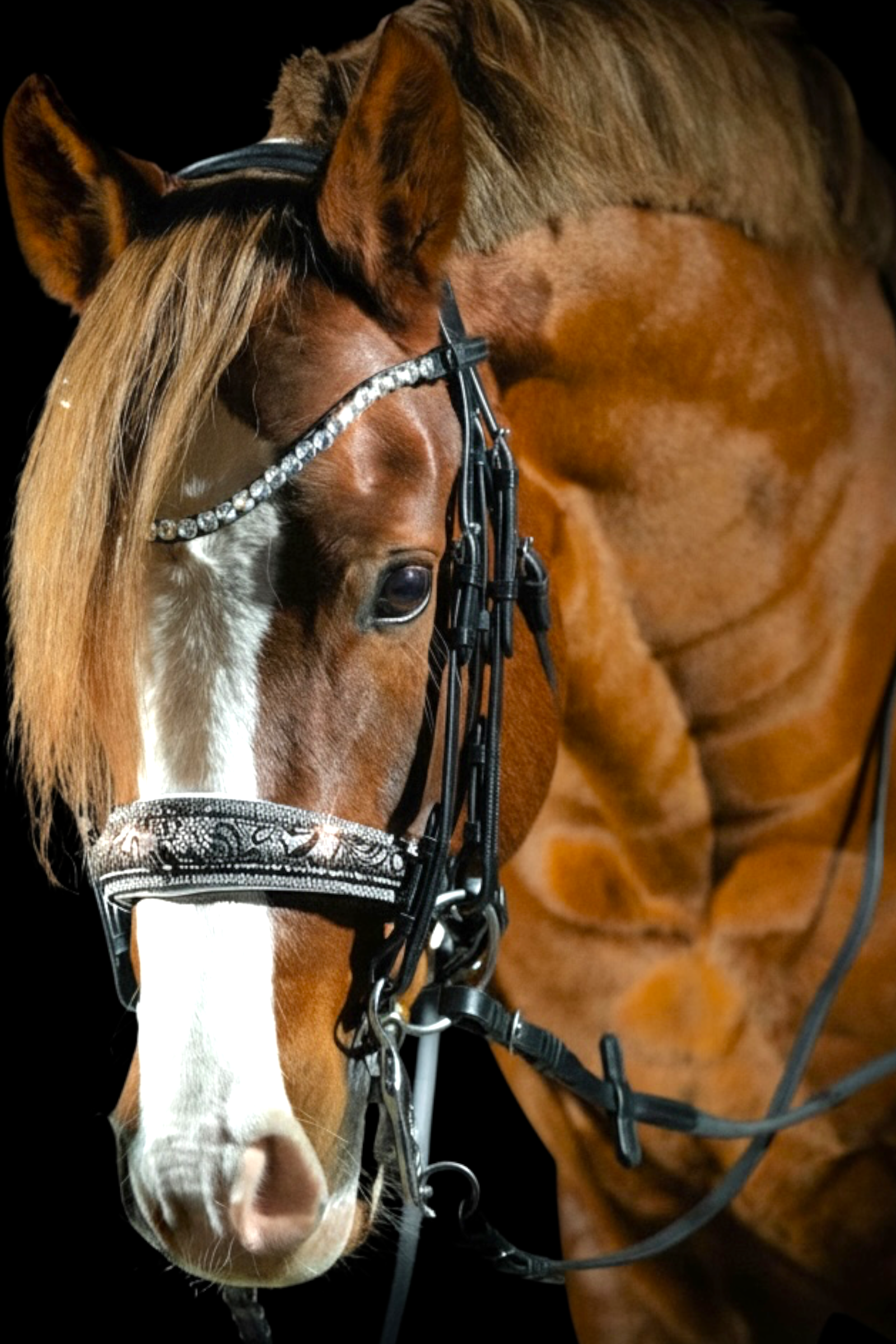 Kandarenzaum „Silver Lace“ – 4 Reihen Crystal Rocks CR-Harmonyequestrian