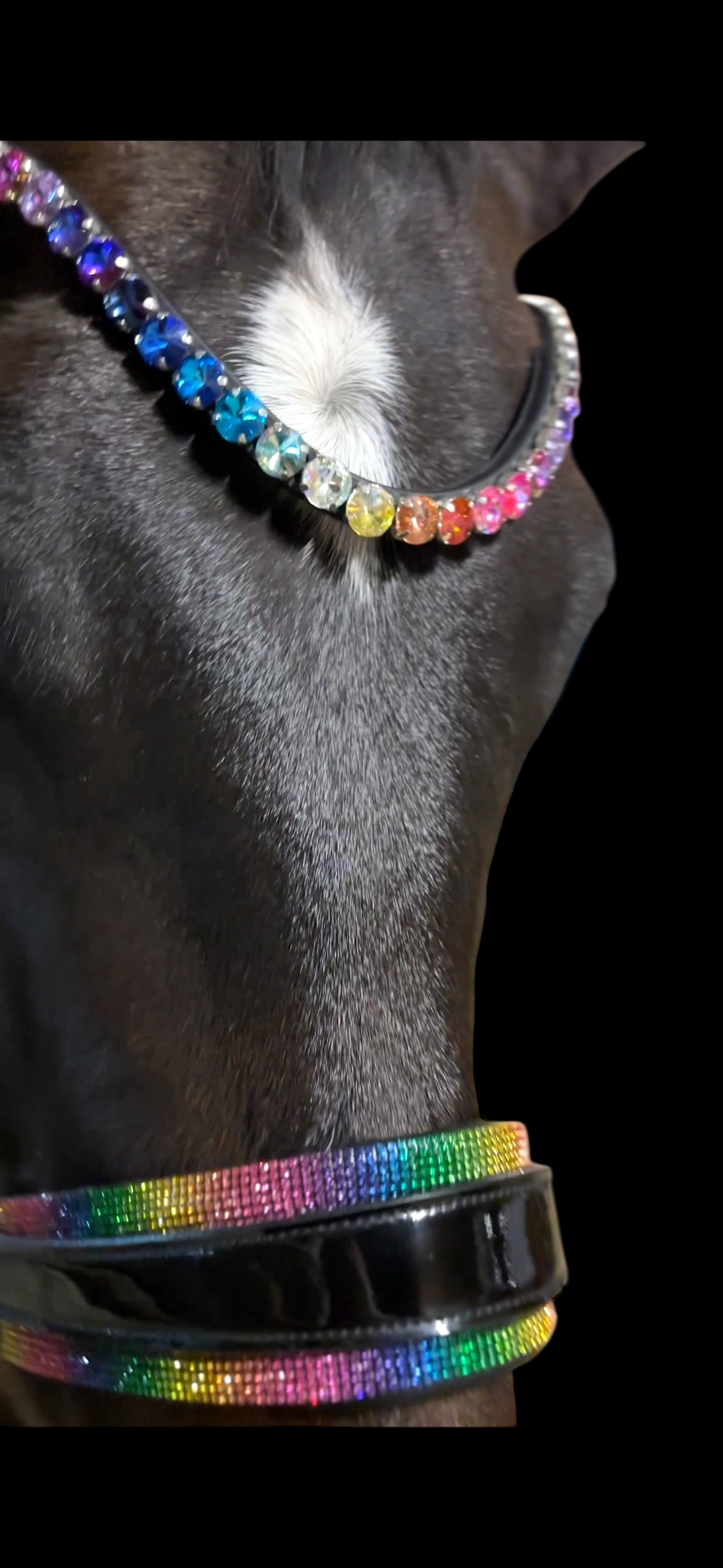 Rainbow Deluxe Stirnriemen CR-Harmonyequestrian