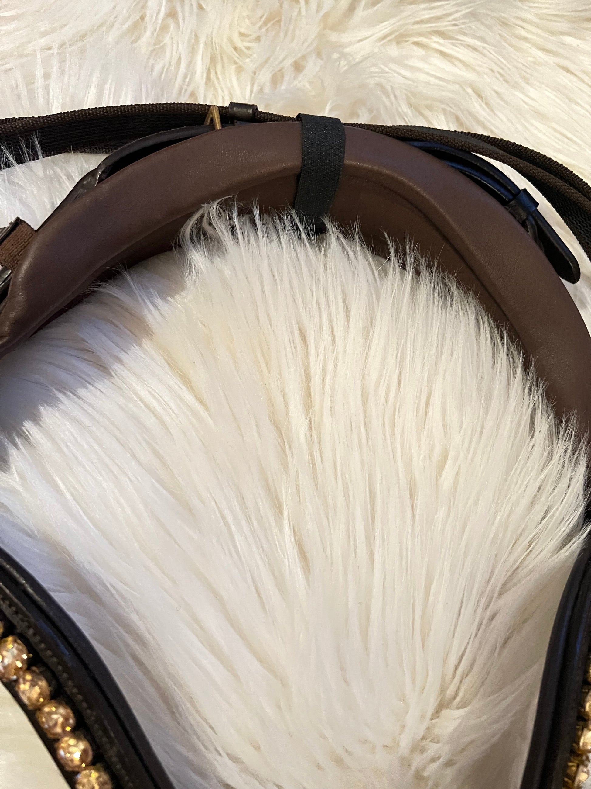 Braune Lack-Trense Full – reduziert CR-Harmonyequestrian