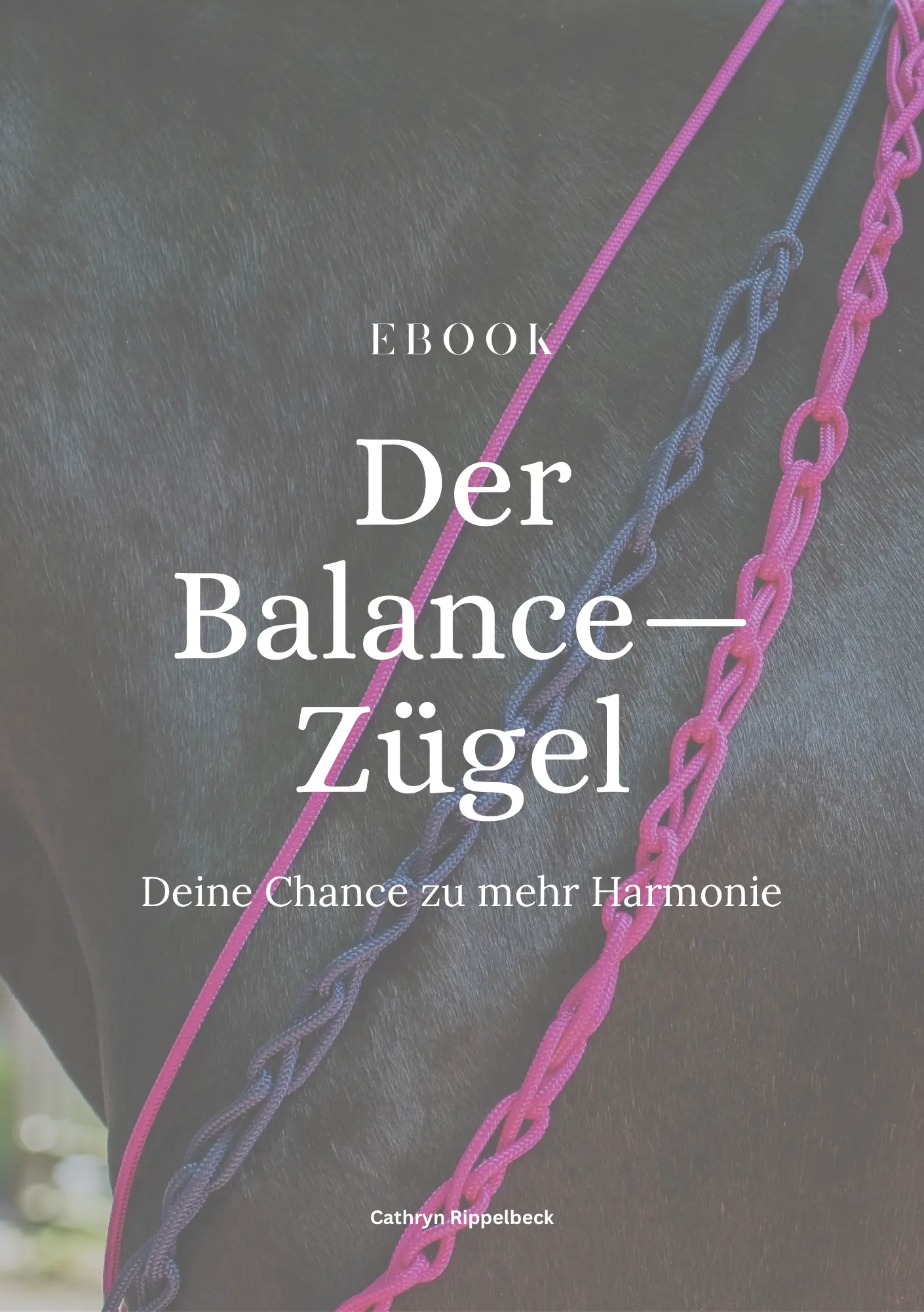 Der Balance-Zügel - Deine Chance zu mehr Harmonie Ebook