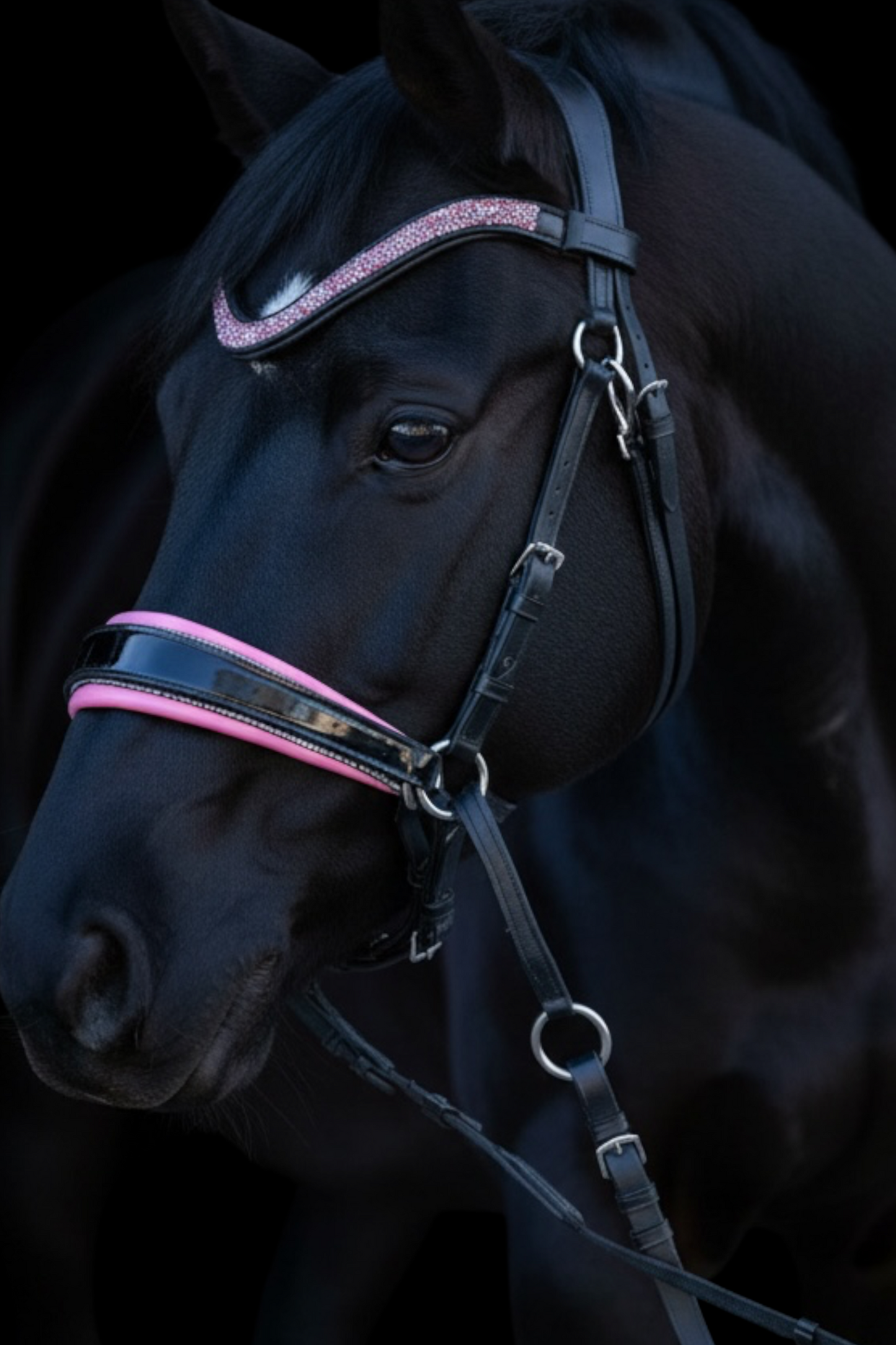 Pink Edition CR Harmonybridle gebisslos– Limitierte Auflage CR-Harmonyequestrian