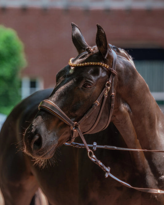 Harmony Bridle in Gold mit Glitzerpad CR-Harmonyequestrian