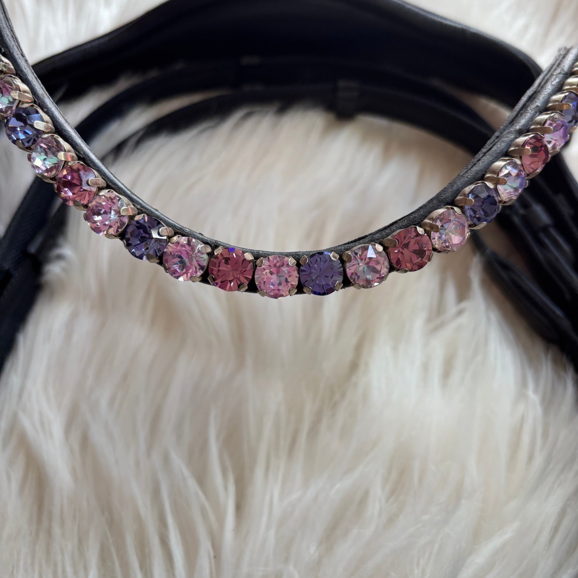 Gebisslose Trense Lavender CR-Harmonyequestrian