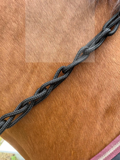 Balancezügel CR Hilfszügel Detail Verschnallung