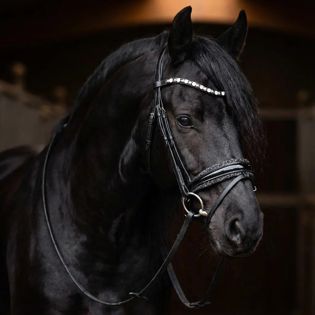 Black Star Trense CR-Harmonyequestrian