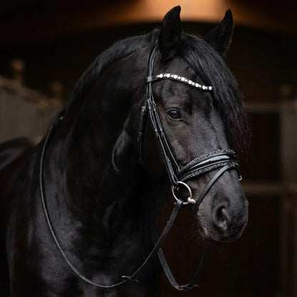 Black Star Trense CR-Harmonyequestrian