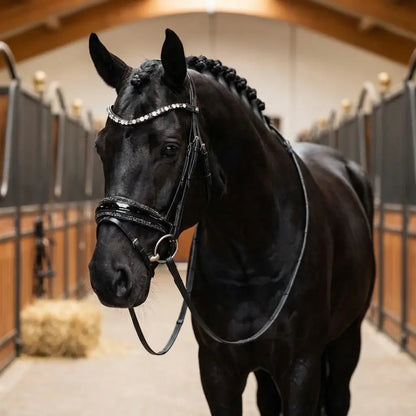 Black Star Trense CR-Harmonyequestrian