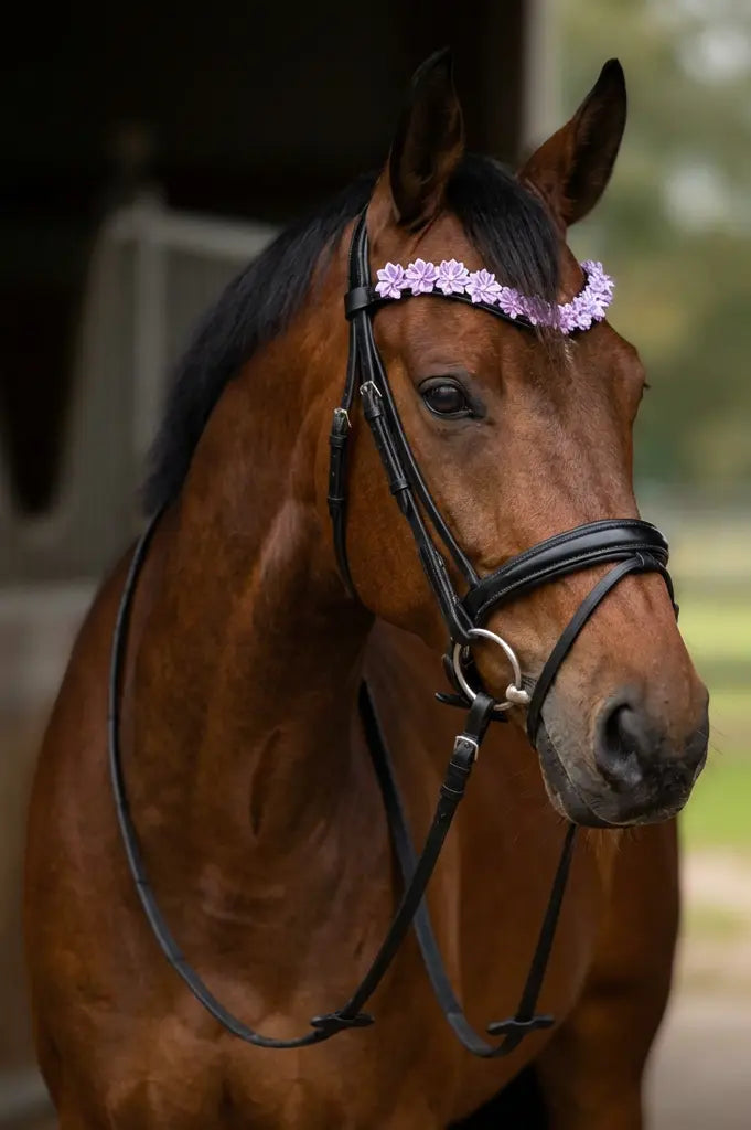 Blütenzauber Stirnriemen CR-Harmonyequestrian