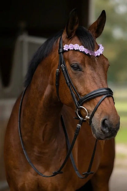 Blütenzauber Stirnriemen CR-Harmonyequestrian
