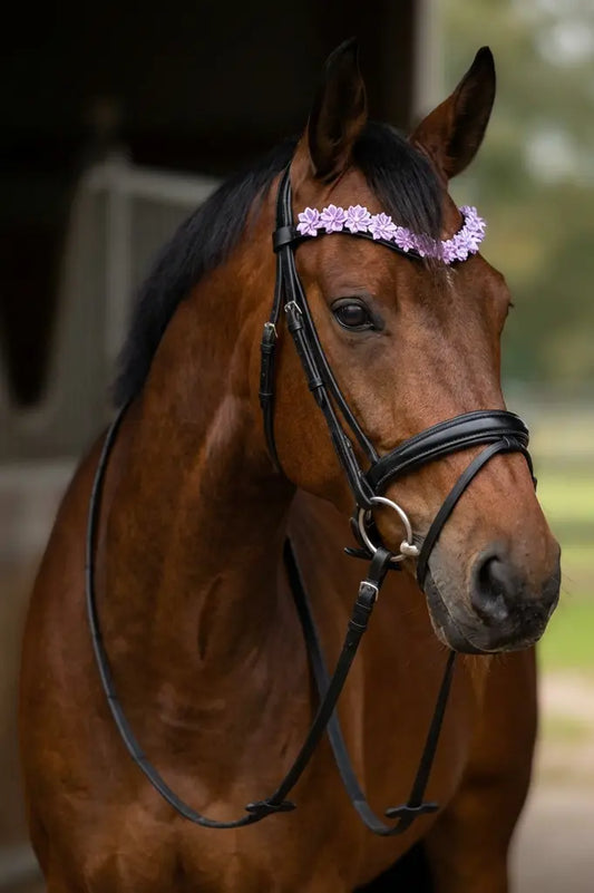 Blütenzauber Stirnriemen CR-Harmonyequestrian