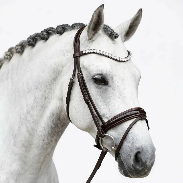 Browny Trense Limitierte Edition CR-Harmonyequestrian 