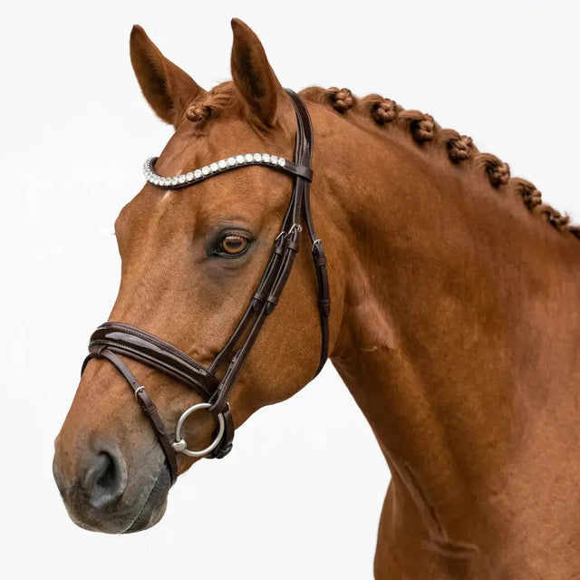 Browny Trense Limitierte Edition CR-Harmonyequestrian 