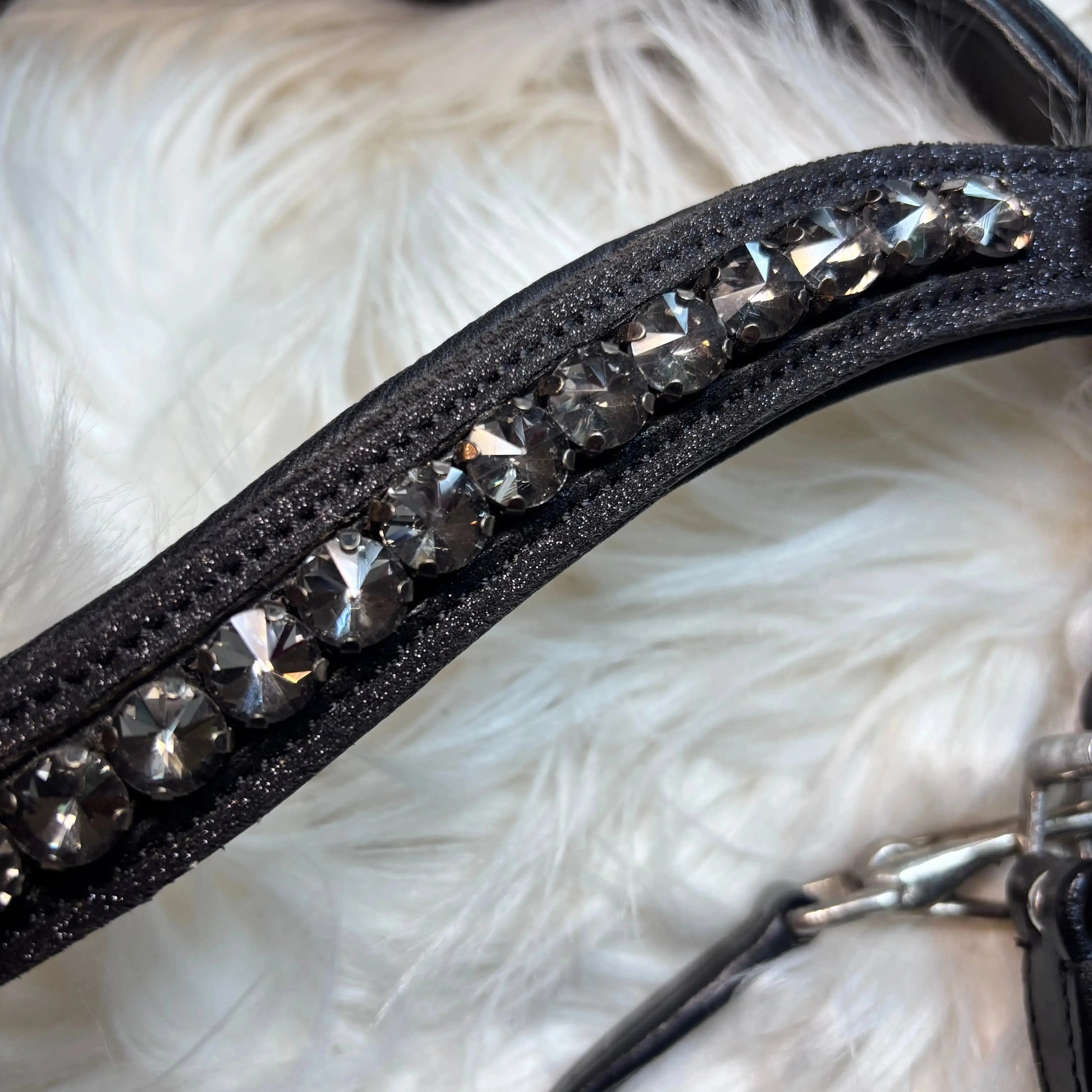 CR Harmony Bridle - Glitzer Edition Schwarz - gebisslose Trense für Pferde - Ansicht 5