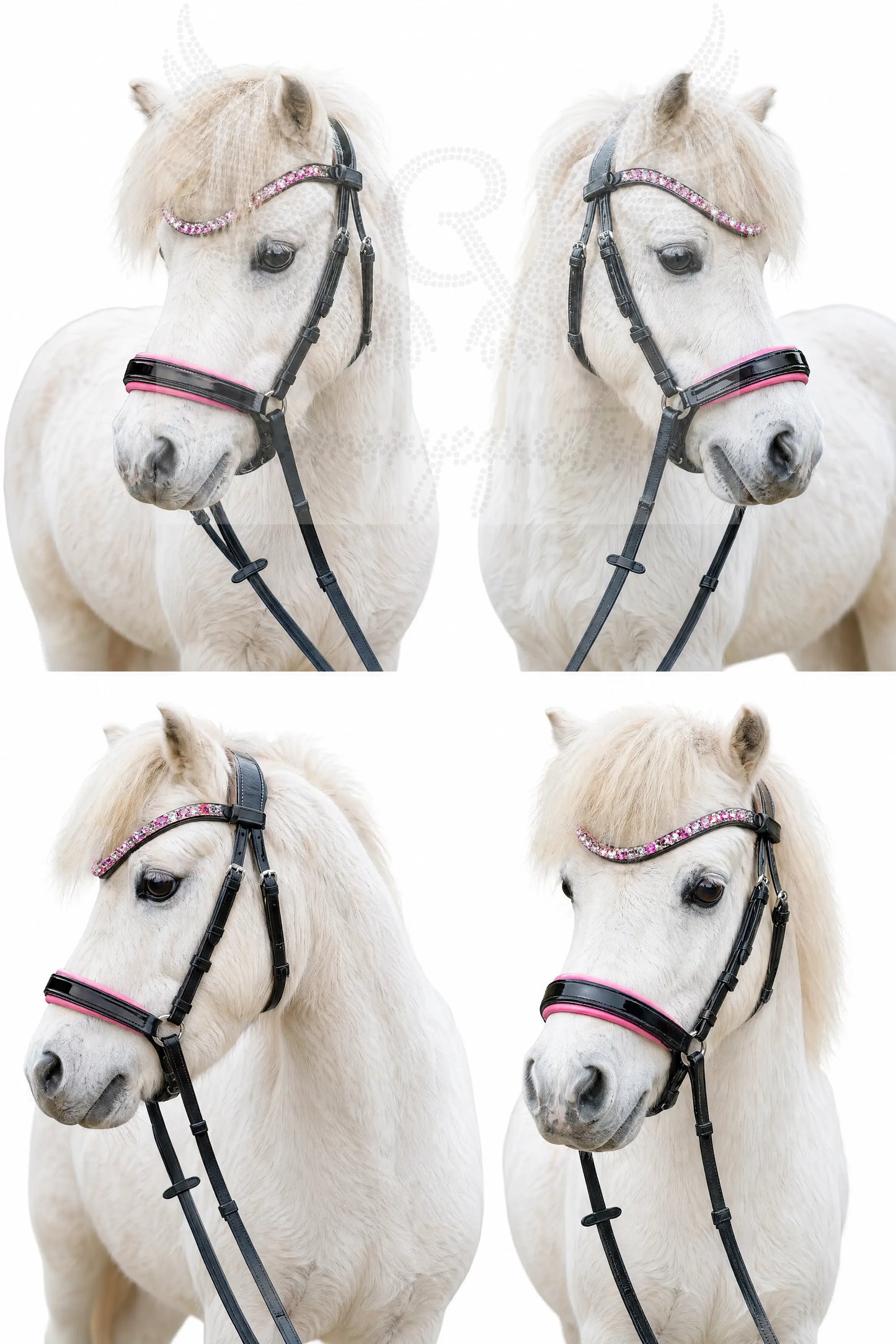 CR Harmonybridle für die ganz kleinen, Shetty und Mini - gebisslose Trense für Pferde - Ansicht 2
