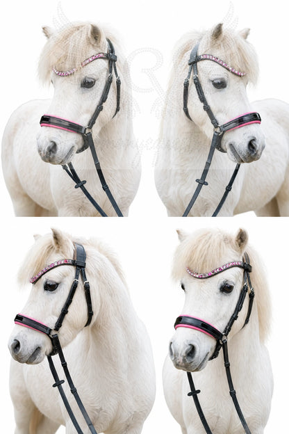 CR Harmonybridle für die ganz kleinen, Shetty und Mini - gebisslose Trense für Pferde - Ansicht 2