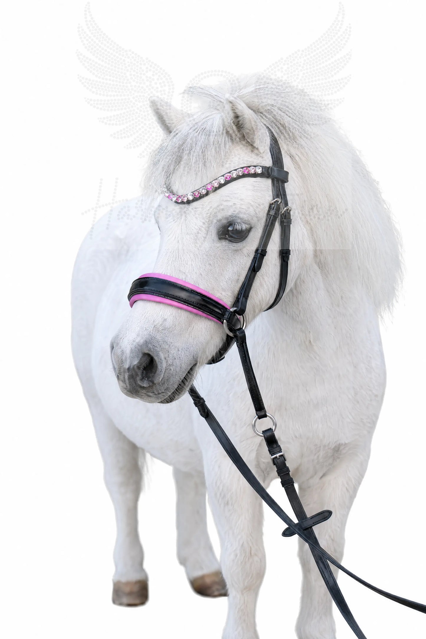 CR Harmonybridle für die ganz kleinen, Shetty und Mini - gebisslose Trense für Pferde - Ansicht 3