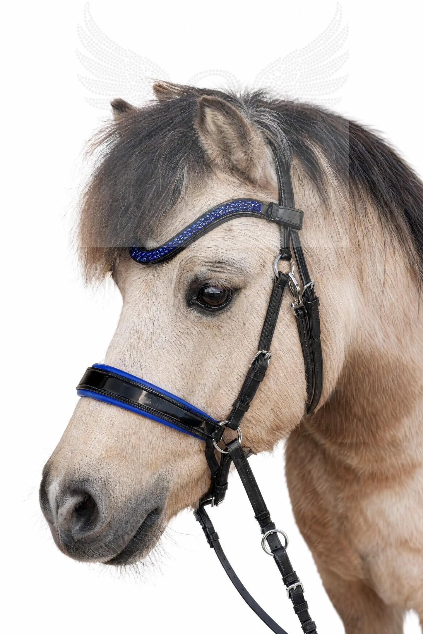 CR Harmonybridle für die ganz kleinen, Shetty und Mini - gebisslose Trense für Pferde - Ansicht 4