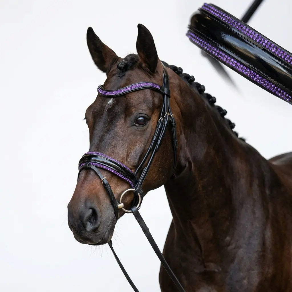 Crystal Nasenriemen in deiner Wunschfarbe CR-Harmonyequestrian 