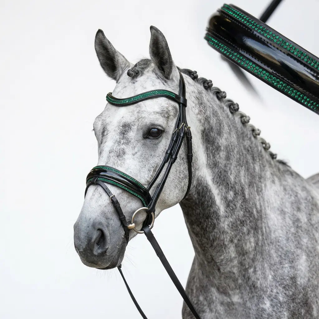 Crystal Nasenriemen in deiner Wunschfarbe CR-Harmonyequestrian 