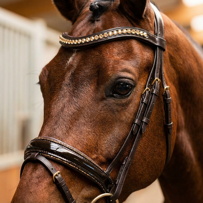 Braune Lack-Trense Full – reduziert CR-Harmonyequestrian